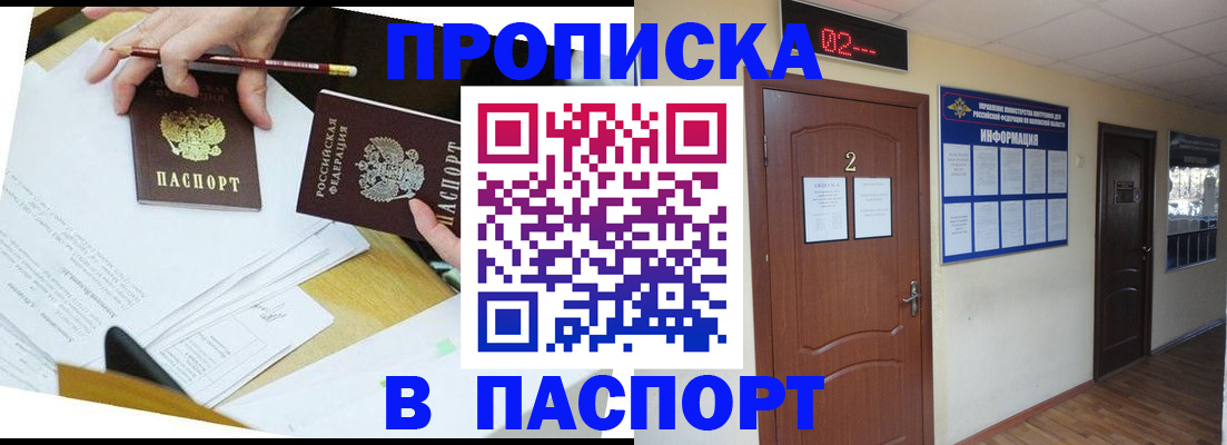 прописка законно в Пионерском
